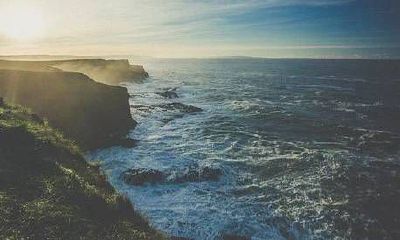 书柜怎么摆放 书架摆放在凶位有什么影响