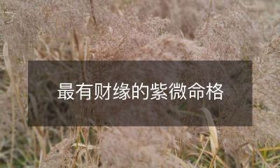 最有财缘的紫微命格