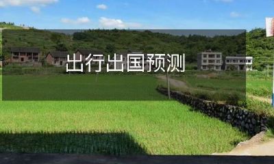 出行出国预测