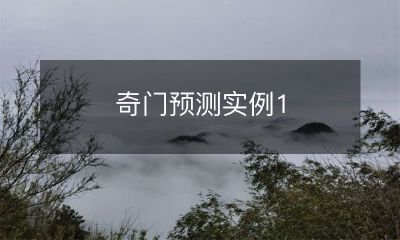 奇门预测实例1