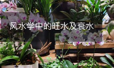 风水学中的旺水及衰水