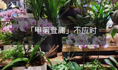 「甲第登庸」不应时