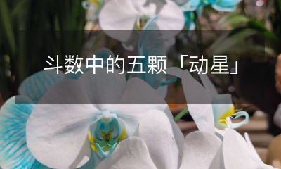 斗数中的五颗「动星」
