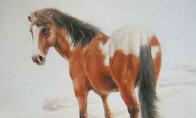 2002年属马人2021年幸运色 穿什么颜色衣服