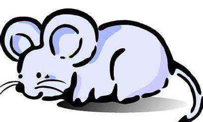 72年生肖属鼠人49岁以后大运如何 感情事业发展好吗