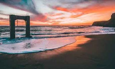 属马6月份出生的命运好不好