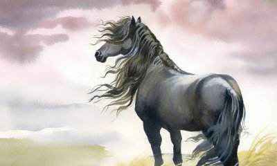 属马的人适合养什么宠物 属马的人养什么宠物最好