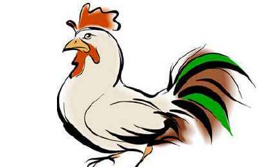 属鸡的男人和什么生肖最配 配对查询