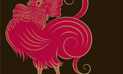 2023年属鸡人事业上会遇到什么倒霉的事情吗