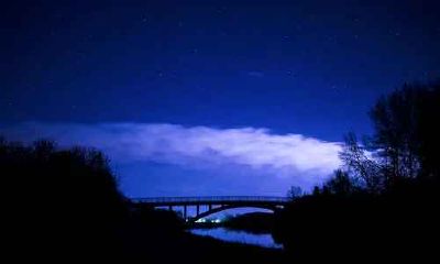 属鸡和属虎的婚姻怎么样 属鸡和属虎婚姻配吗