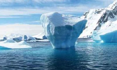 今年属鸡人的财运和运气怎样2020