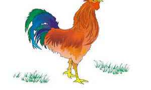 1993年属鸡2021年财运好不好