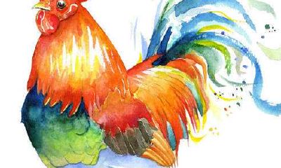 属鸡人犯太岁佩戴什么饰品可以化解