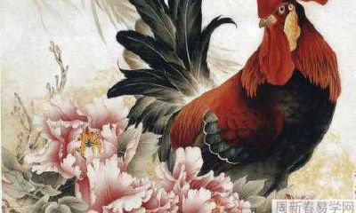 属鸡人在2022年的偏财运好不好 详情解析