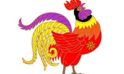 生肖鸡人能找到什么样的生肖作为伴侣