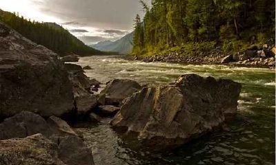 生肖属鸡男人的感情缺点是什么