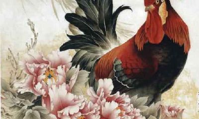 属鸡人怎么招桃花 生肖属鸡的人桃花位在哪里