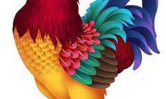 属鸡女在2022年下半年运势如何