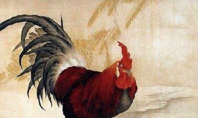 属鸡人2021年什么颜色的钱包可以招财