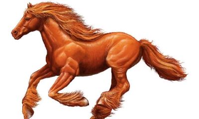 2023年属马女的健康运势怎么样 如何提升健康运