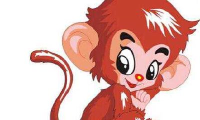 2004年属猴人的财运方位 哪个方向财运好