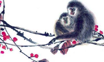 猴人和什么生肖适合做情人 让人羡慕的配对