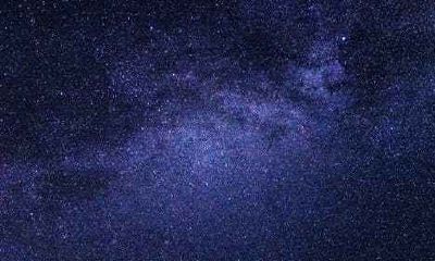 属猴人的性格和感情爱情运势