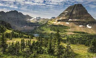 属猴卯时出生的人命运怎么样