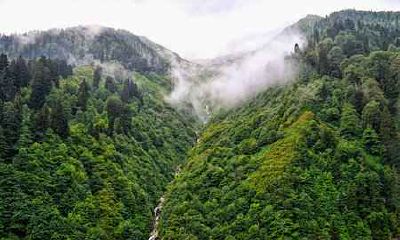 男属羊和女属猴合婚怎么样 结婚好不好