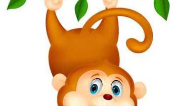 属猴和属鸡的相配吗