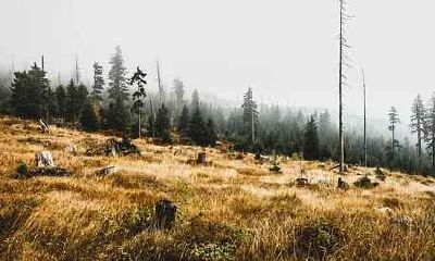 属猴人2021年10月各方面运势情况分析