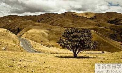 2021年白羊座8月运势及运程 2021年8月白羊座运势完整解读