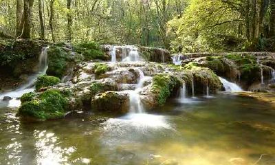 1980年12月不宜什么属相结婚 1980年12月属猴是什么命