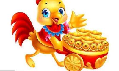 属鸡和属鸡人的合吗 夫妻同属鸡人的可以结婚吗