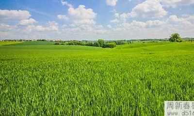 2022年水瓶男感情运势旺不旺