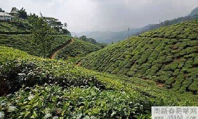 属龙水瓶座2022年运势及运程预测分析