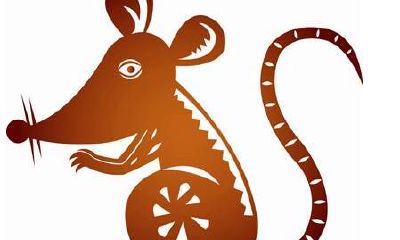 96年的属鼠人在哪一年添丁才是最好的