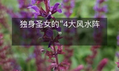 独身圣女的“4大风水阵”