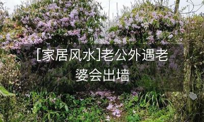 [家居风水]老公外遇老婆会出墙