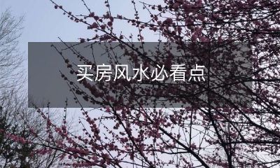 买房风水必看点