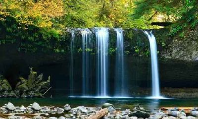 84年属鼠人一生大劫年，84年属鼠人40岁劫难化解