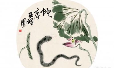 看见蛇的人运气好不好 家里进蛇的真正预兆