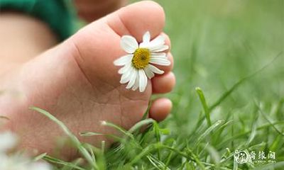 属兔的起名宜用字 水兔命起名字注意什么