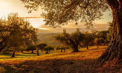 属鼠男会不会出轨 对出轨有什么看法