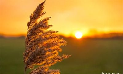 风水里7代表什么 7为什么是最完美的数字