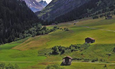 每个季节出生的生肖鼠运势会不一样吗