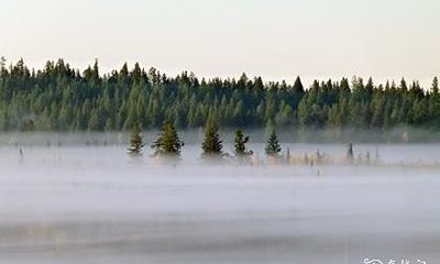 姓游比较有寓意的名字 游姓顺口名字