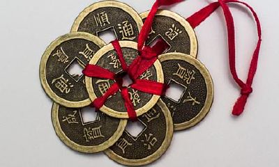 家中摆放哪些花提升运气