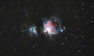 怎么和属鼠的人相处 属鼠人的性格和脾气