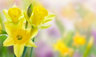 2022年8月属鼠男财运好吗